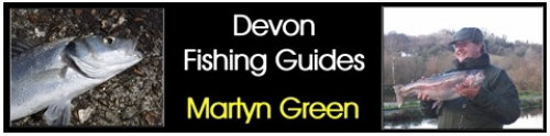 Link to www.devonfishingguides.co.uk
